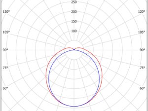 NET - Image 5