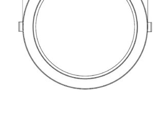 RCP - Image 2