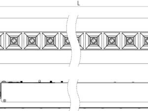 RLNP - Image 3
