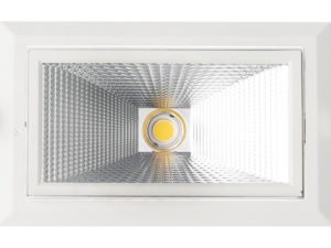 RSF - Image 2