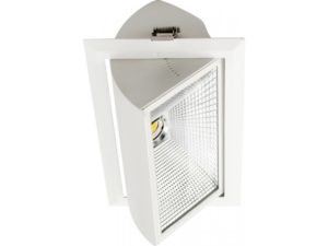 RSF - Image 3